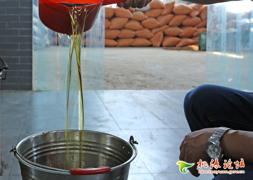 必发集团,油茶种植出产加工销售,植物油种植出产加工销售