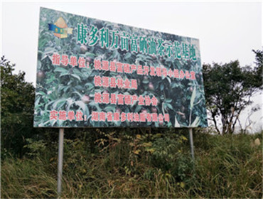 必发集团,油茶种植出产加工销售,植物油种植出产加工销售