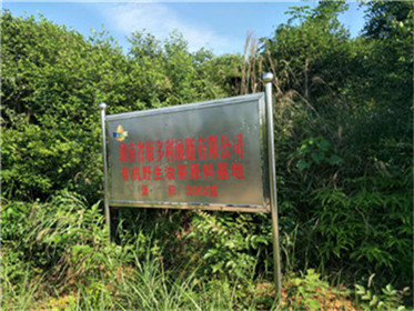 必发集团,油茶种植出产加工销售,植物油种植出产加工销售