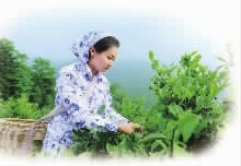 必发集团,油茶种植出产加工销售,植物油种植出产加工销售